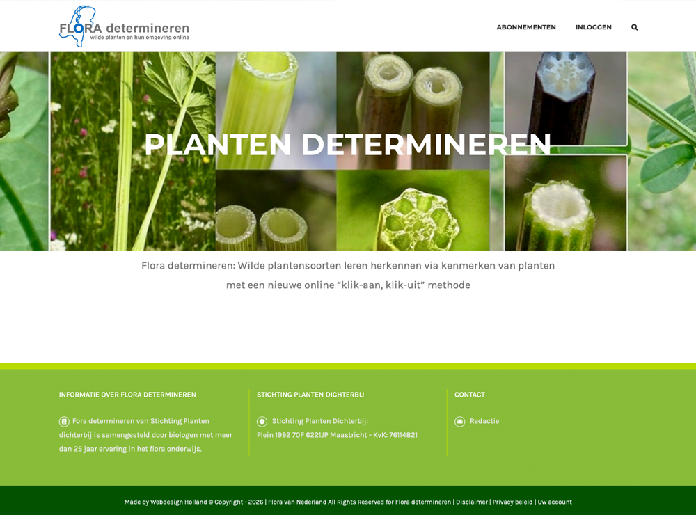 Floradetermineren by webdesign limburg - Webdesign Limburg Flora determineren - Wilde planten leren herkennen via kenmerken