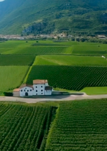 White two-story house with a red roof sits along a road among lush green vineyard fields with mountainous hills in the distance.