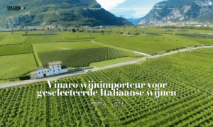 Webdesign Limburg | Aerial view of a lush vineyard with orderly rows, a white building by a road, and mountains in the distance; hero banner for Vinaro wine importer.