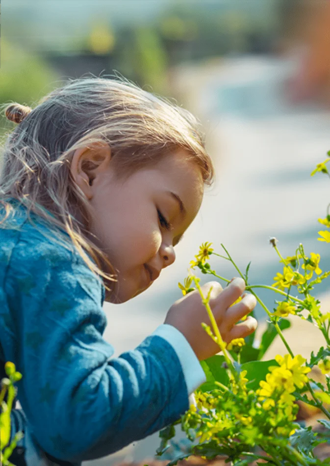 Webdesign Limburg - voor Flora Determineren